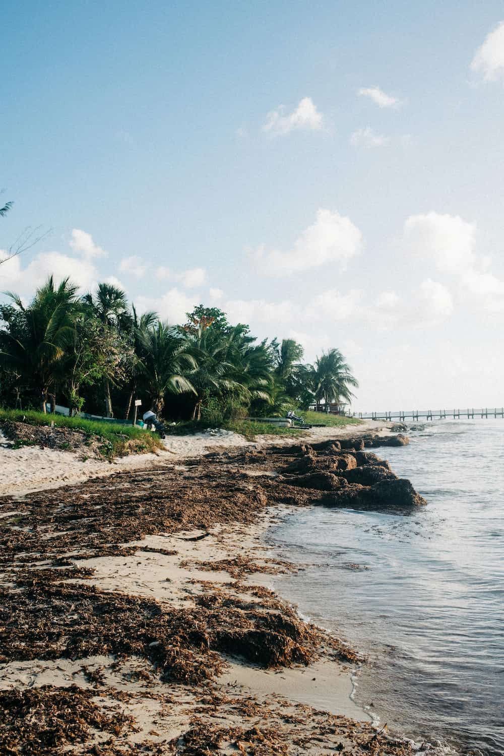Riviera Maya trotz Sargassum entdecken | Tipps & Ausflüge 2026