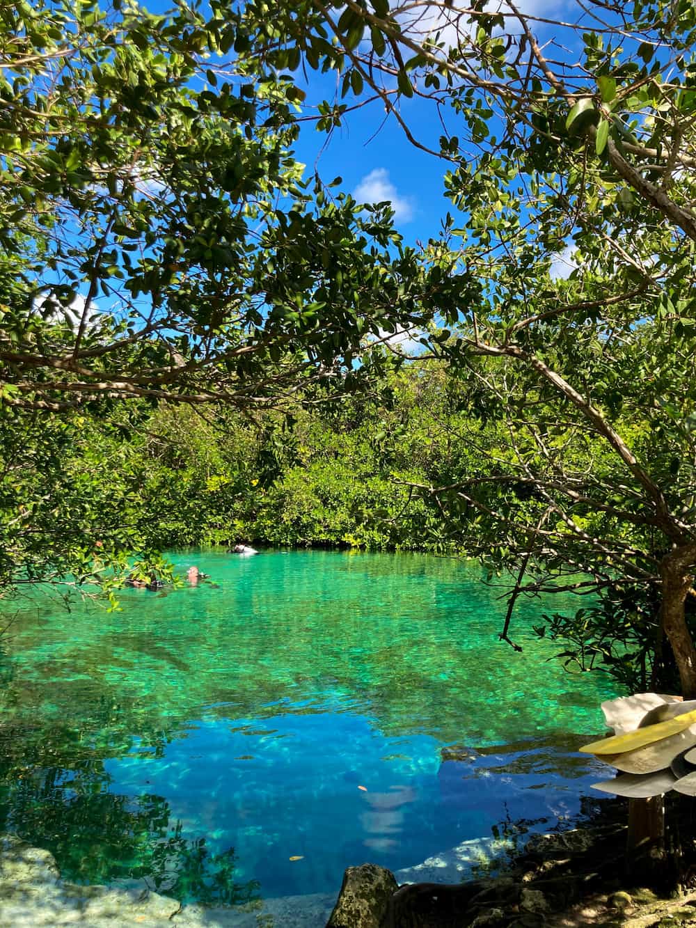 Private Cenoten-Tauchtour ab Tulum