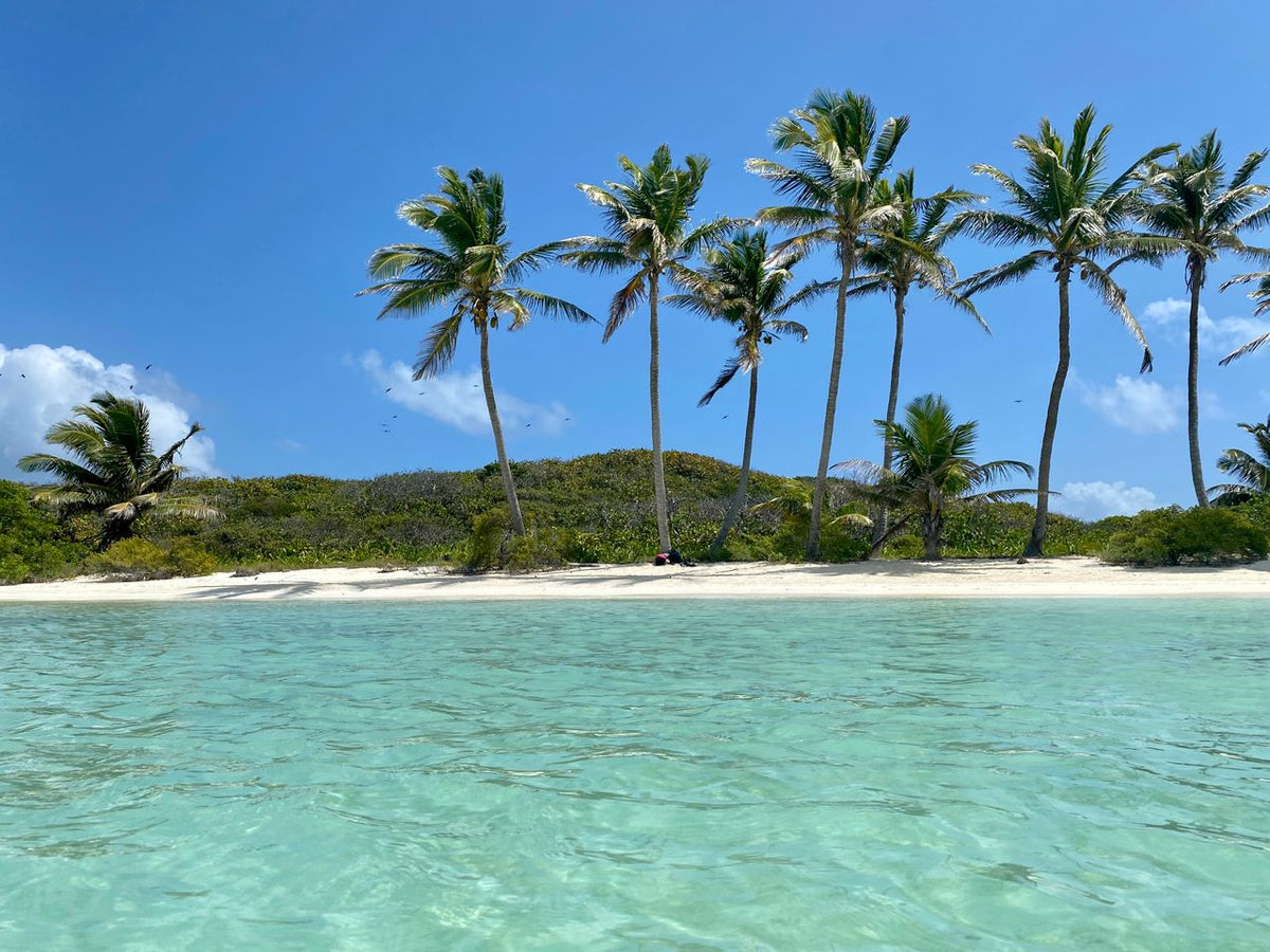 Isla Contoy & Isla Mujeres