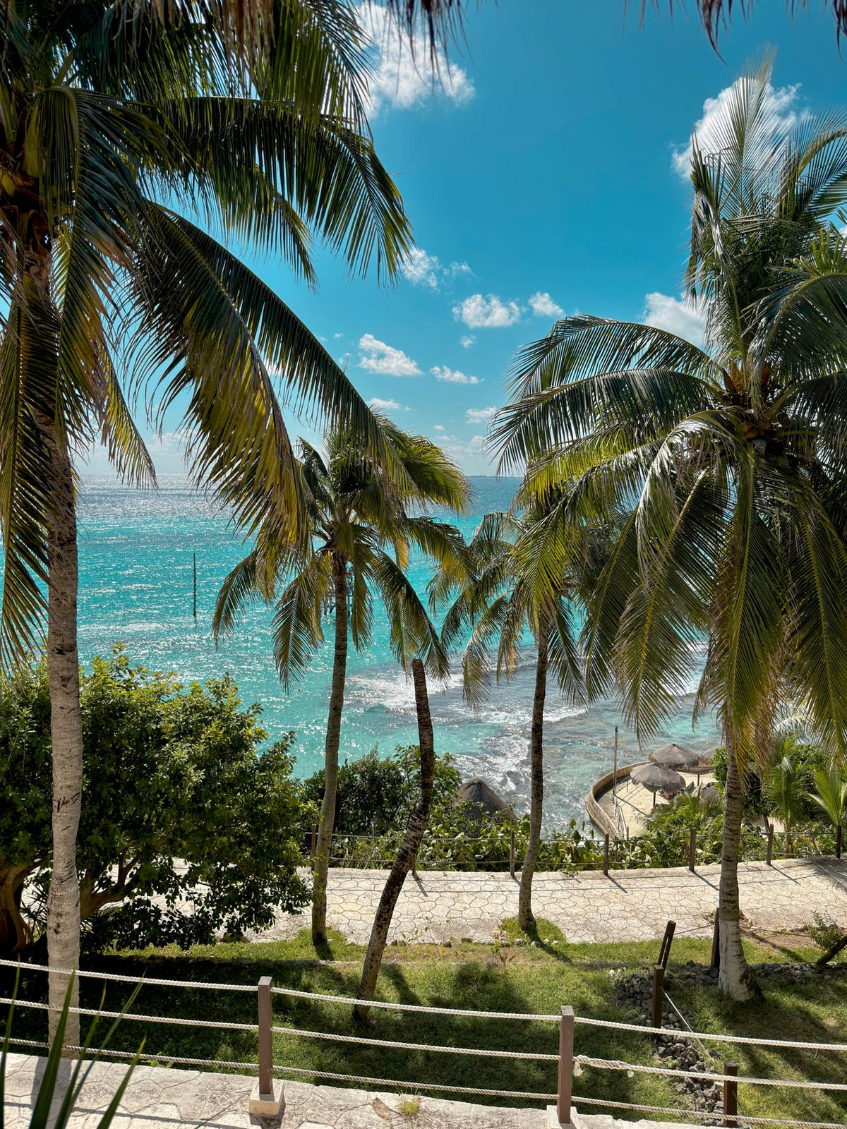 Isla Contoy & Isla Mujeres