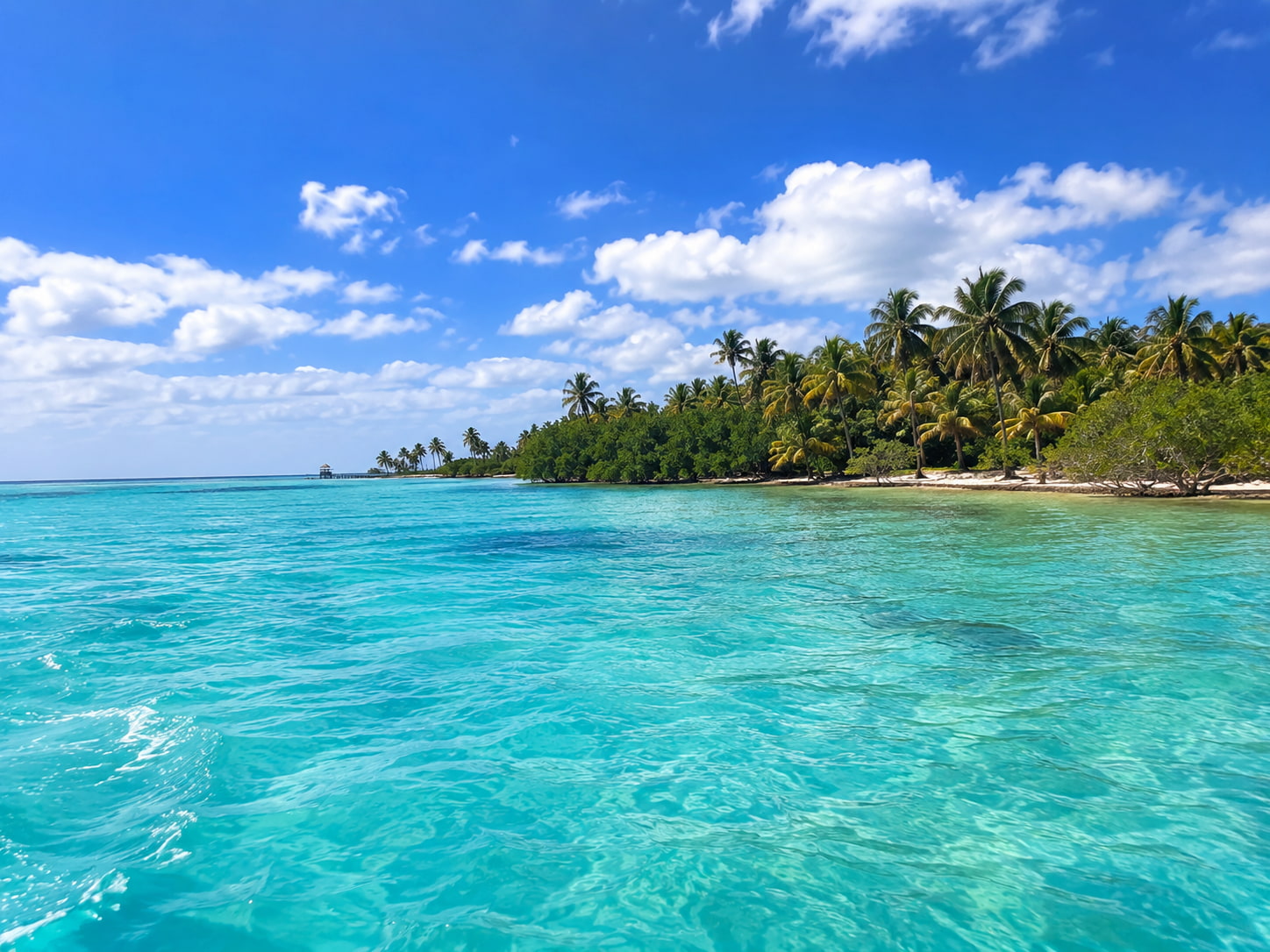 Isla Contoy & Isla Mujeres