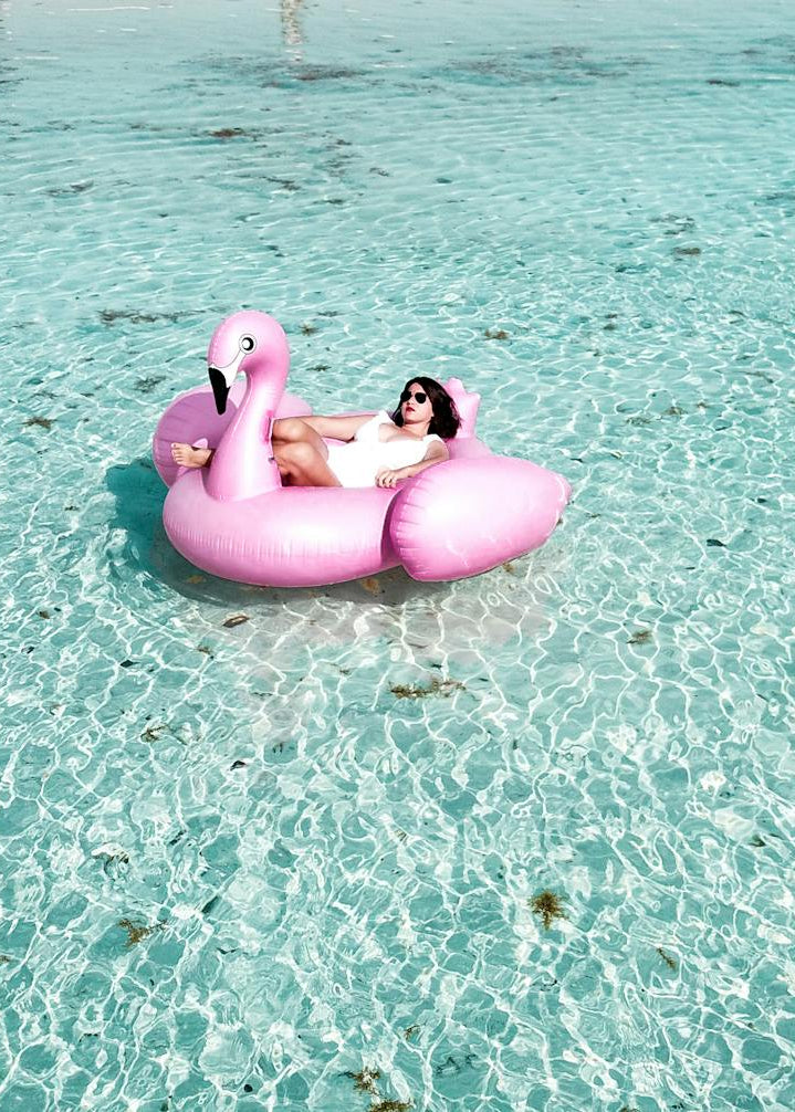 Isla Contoy & Isla Mujeres