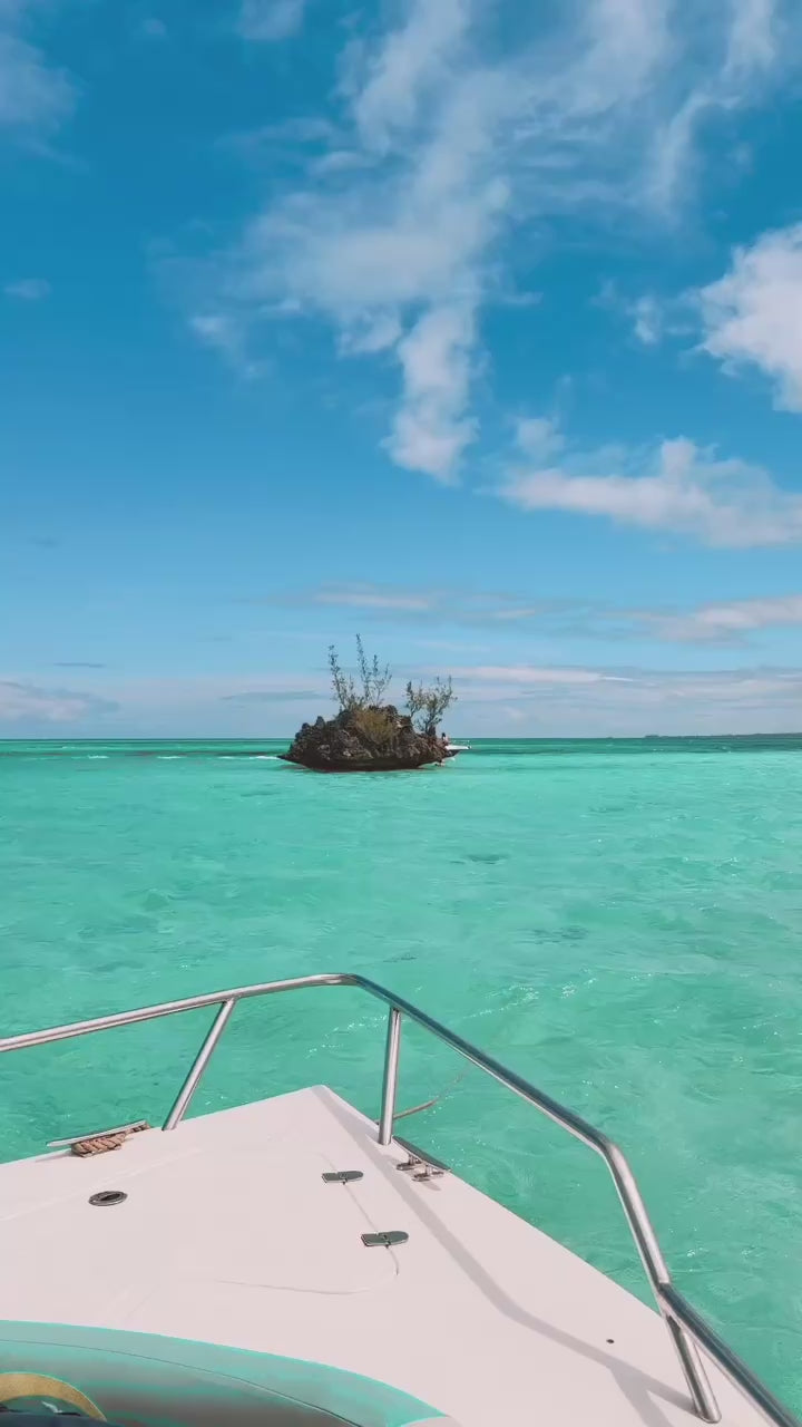 Isla Contoy & Isla Mujeres